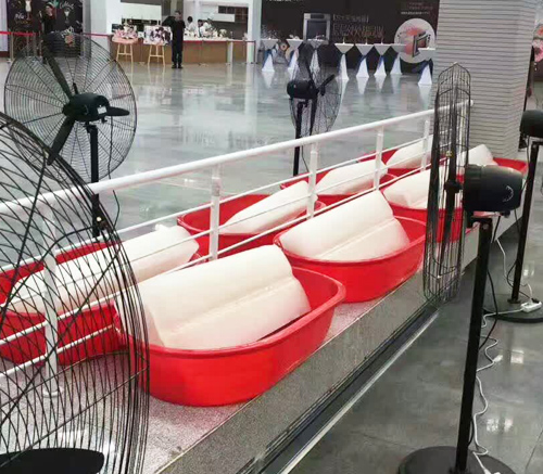 陕西探花视频在线观看污冰块
